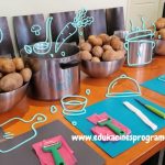 Edukacija Misija: CEPELINAI